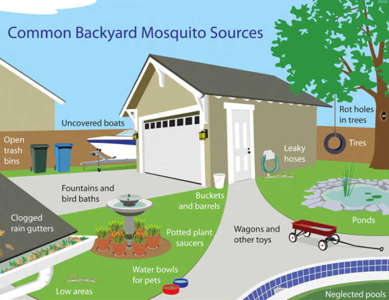 backyard mosquito sources Westchester DOH