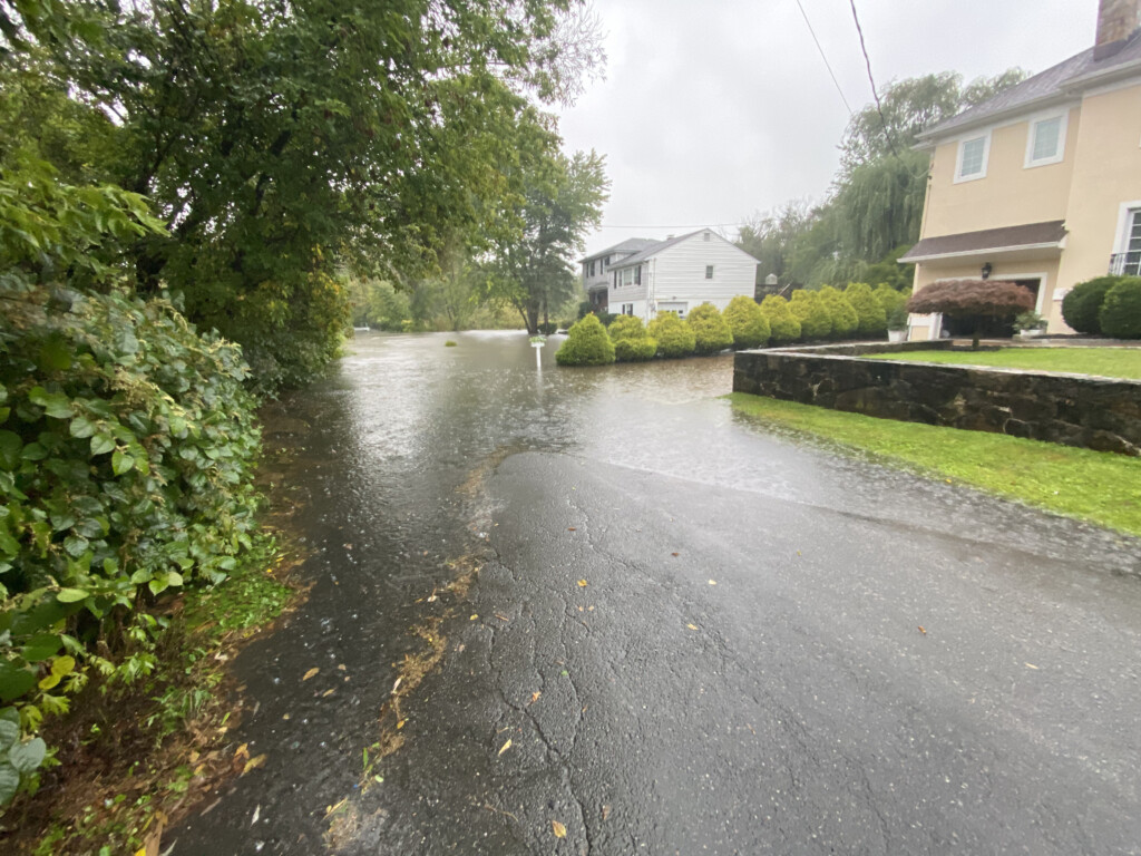 (PHOTO: Bradford Avenue on the Rye - Harrison border by the Beaver Swamp Brook around 11:00am Friday.)