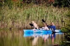 (PHOTO: Catherine Parker, candidate and current Westchester County Legislator, District 7, kayaking in the Blind Brook.)