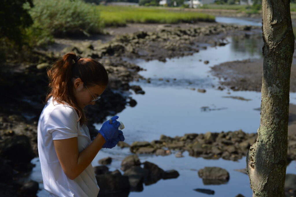 (PHOTO: Scarlett Crakes, one of Save the Sound’s two water quality interns during the summer of 2023, prepares a sample bottle for collecting water from Beaver Swamp Brook near Boston Post Road in August 2023.)