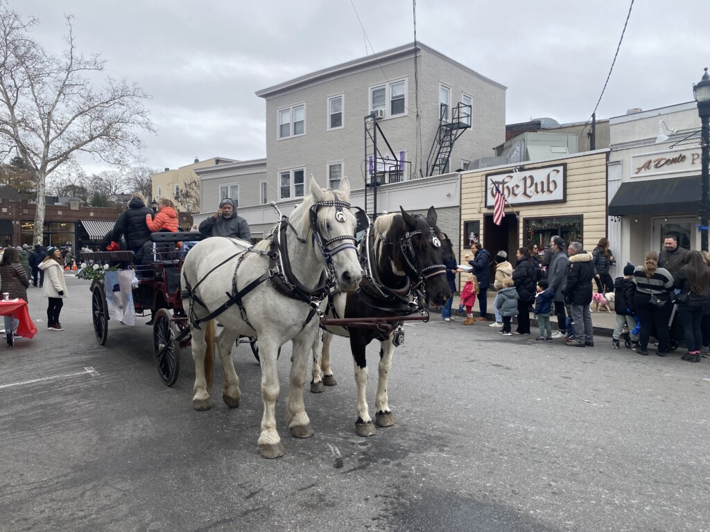 (PHOTO: No reindeer but there were horses at Mistletoe Magic on Purchase Street in Rye on Sunday, November 26, 2023.)