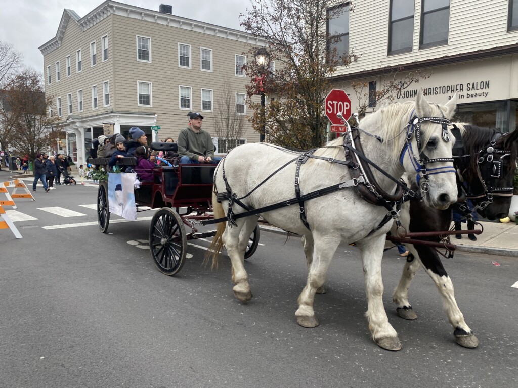 (PHOTO: No reindeer but there were horses at Mistletoe Magic on Purchase Street in Rye on Sunday, November 26, 2023.)