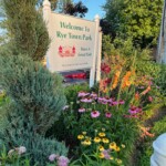 (PHOTO: One of the gardens at Rye Town Park. Credit: Lucy Berkoff.)