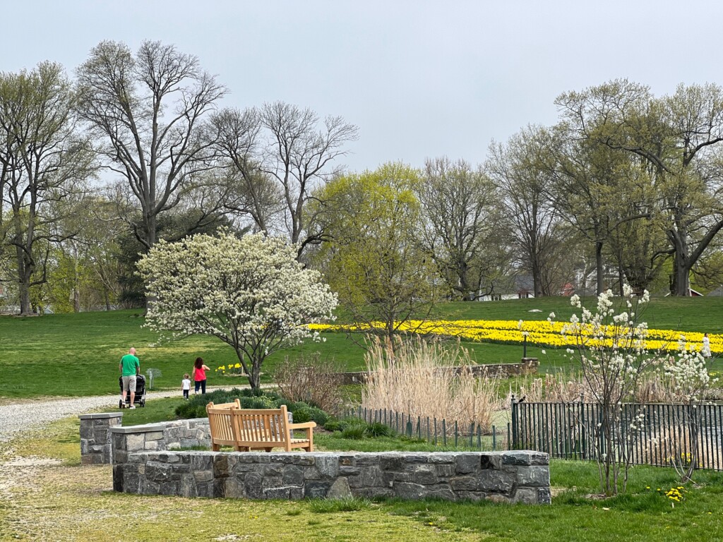 (PHOTO: Rye Town Park's new pond side seating area. Credit: Lucy Berkoff.)