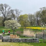 (PHOTO: Rye Town Park's new pond side seating area. Credit: Lucy Berkoff.)