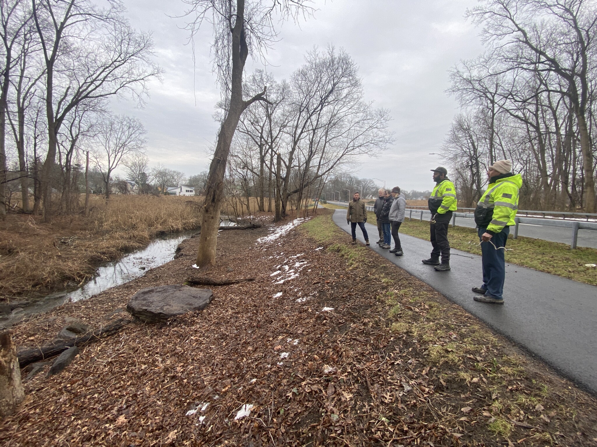 (PHOTO: Rye Sustainability Committee members met with County employees to discuss its collaboration on the removal of invasive plants along Playland Parkway. The stream on the left was covered with invasives prior to the start of the project. The group is now building support to begin a native plant restoration in the areas it has already cleared.)