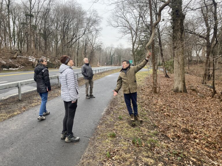 (PHOTO: Rye Sustainability Committee member and landscape architect Chris Cohan swings on what he calls a "Tarzan vine". The invasive vines swarm, choke and kill trees.)