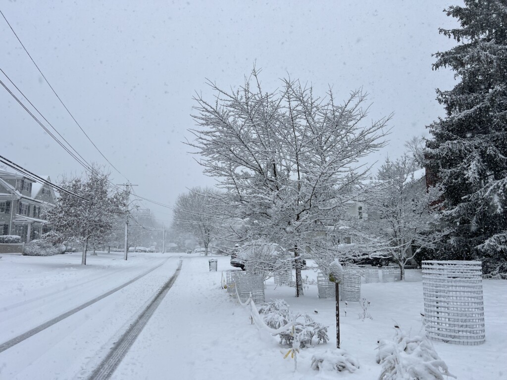 (PHOTO: The Rye snowstorm of Tuesday, February 13, 2024- Florence Avenue towards Bradford Avenue.)