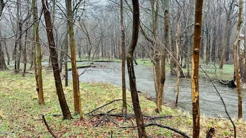 (PHOTO: High water in the Blind Brook along Boston Post Road Saturday, March 23, 2024.)