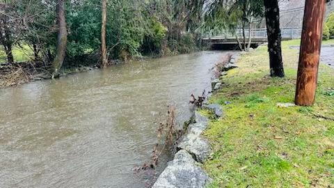 (PHOTO: High water in the Blind Brook along Boston Post Road Saturday, March 23, 2024.)