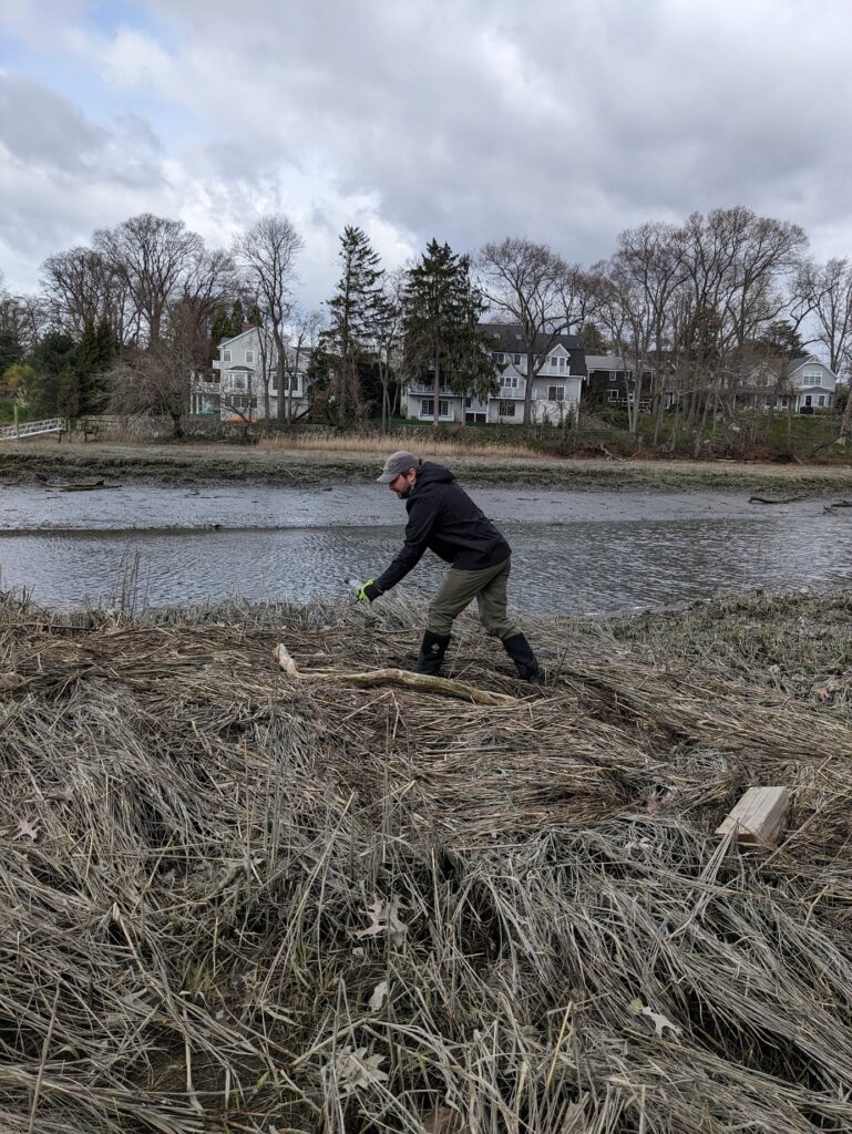 (PHOTO: CC/AC member Ryan Prime collecting garbage along the Blind Brook on the Bird Homestead & Meeting House Conservancy property on April 13, 2024.)