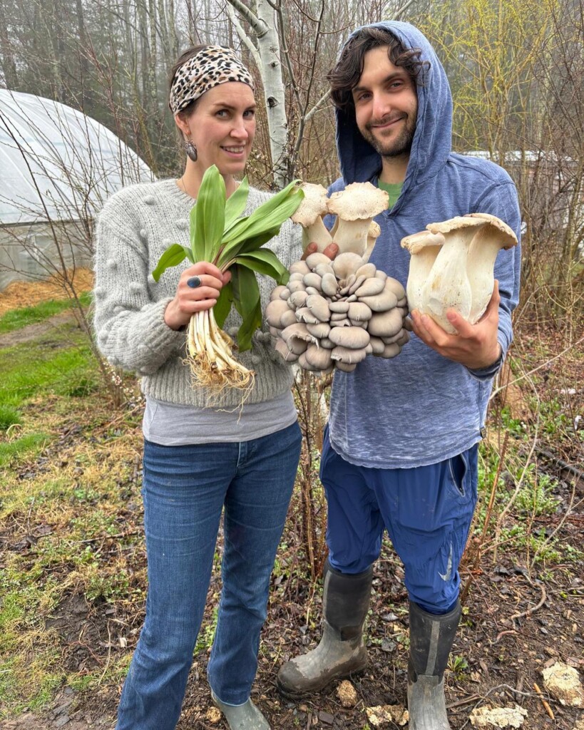 (PHOTO: Flowering Sun sells their mushrooms at the Down to Earth Rye Farmers Market each Sunday.)