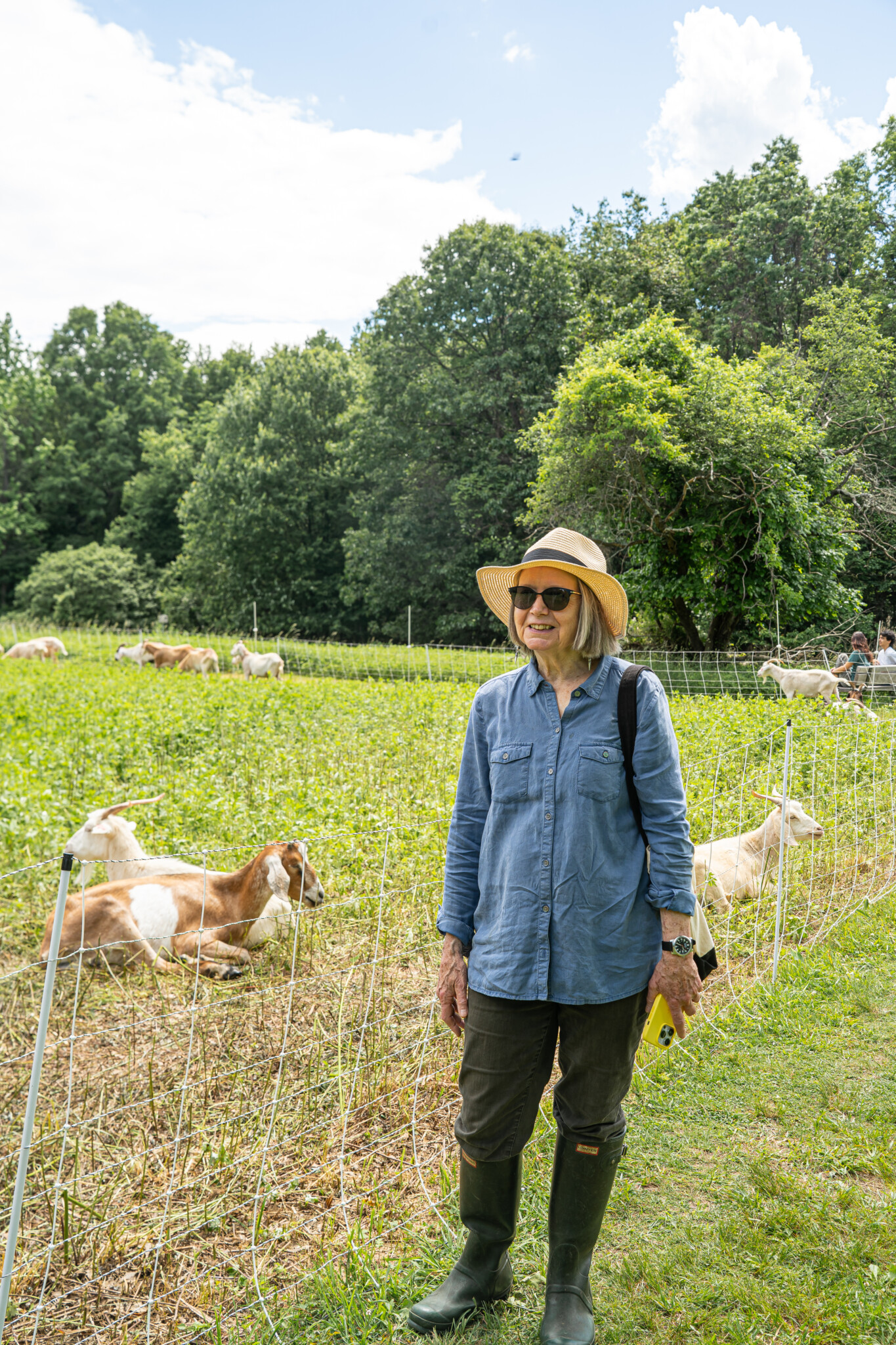 (PHOTO: Clare Francis, president of the Friends of Marshlands, at the park on Wednesday, May 29, 2024 to inspect the habitat restoration work of the goats from Fat & Sassy Goats. Credit: Justin Gray.)