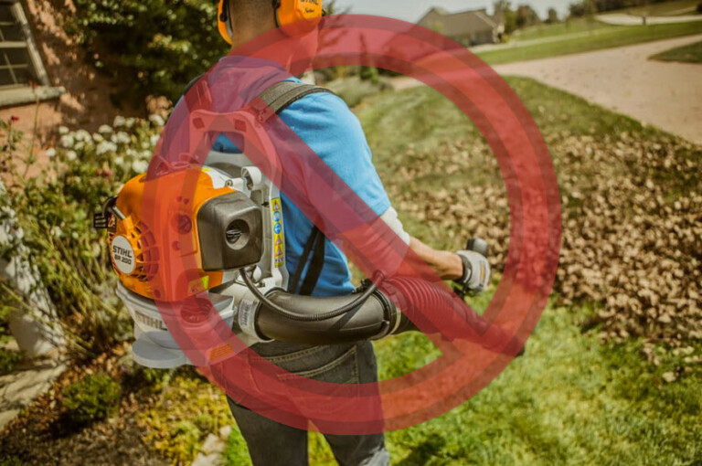 Rye NY Gas Leaf Blower Ban - 2024