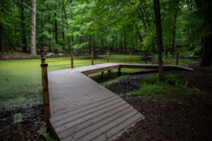 (PHOTO: Nanderwhere Pond at the Rye Nature Center. File photo. Credit: Tilman Oberbannscheidt.)