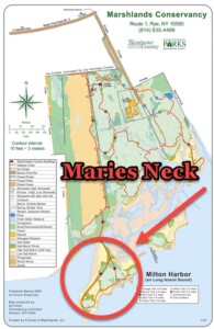 (PHOTO: The hiker was with his wife on Maries Neck, a cape that is between Greenhaven and Milton Harbor in the Marshlands Conservancy, when he sustained the injury.)