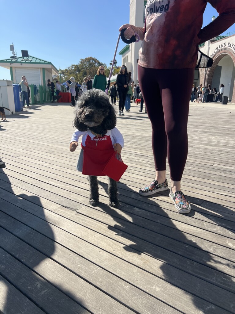 (PHOTO: Playland’s Howl-O-Ween Pet Parade was on Sunday, October 20, 2024. Here is a contestant dressed as a Home Goods employee. Contributed.)