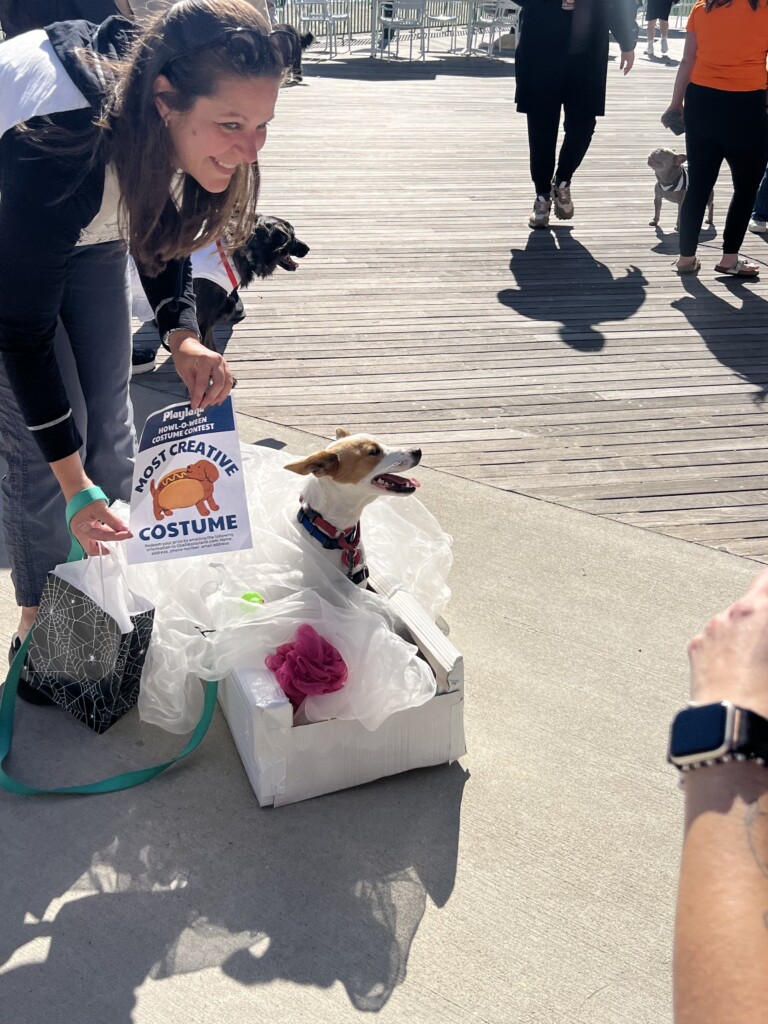 (PHOTO: Playland’s Howl-O-Ween Pet Parade was on Sunday, October 20, 2024. The costume winner was the dog in the tub - Clover and owner Katie from White Plains. Contributed.)