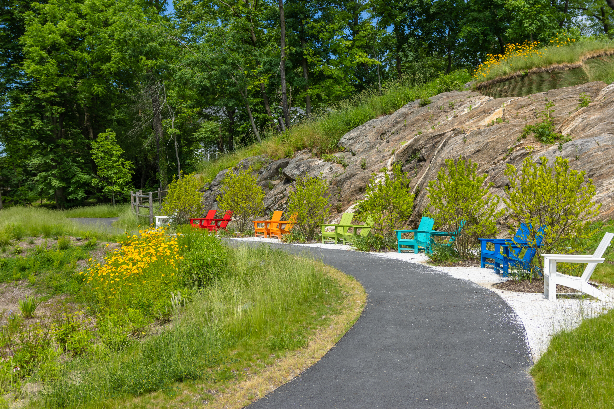 (PHOTO: Kim Eierman of EcoBeneficial designed and oversaw the installation of native plant beds for The City of Rye at Rye Recreation at 281 Midland Avenue. Credit: Alex Lee.)