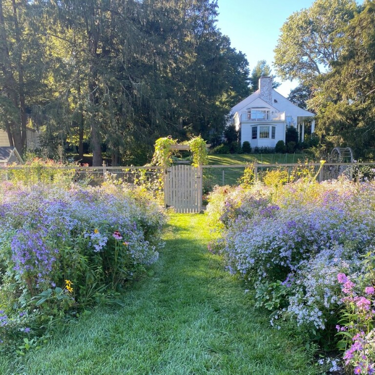 (PHOTO: A native gardening project by David Baker of Plan it Wild. An estate transformation to native. Contributed.)