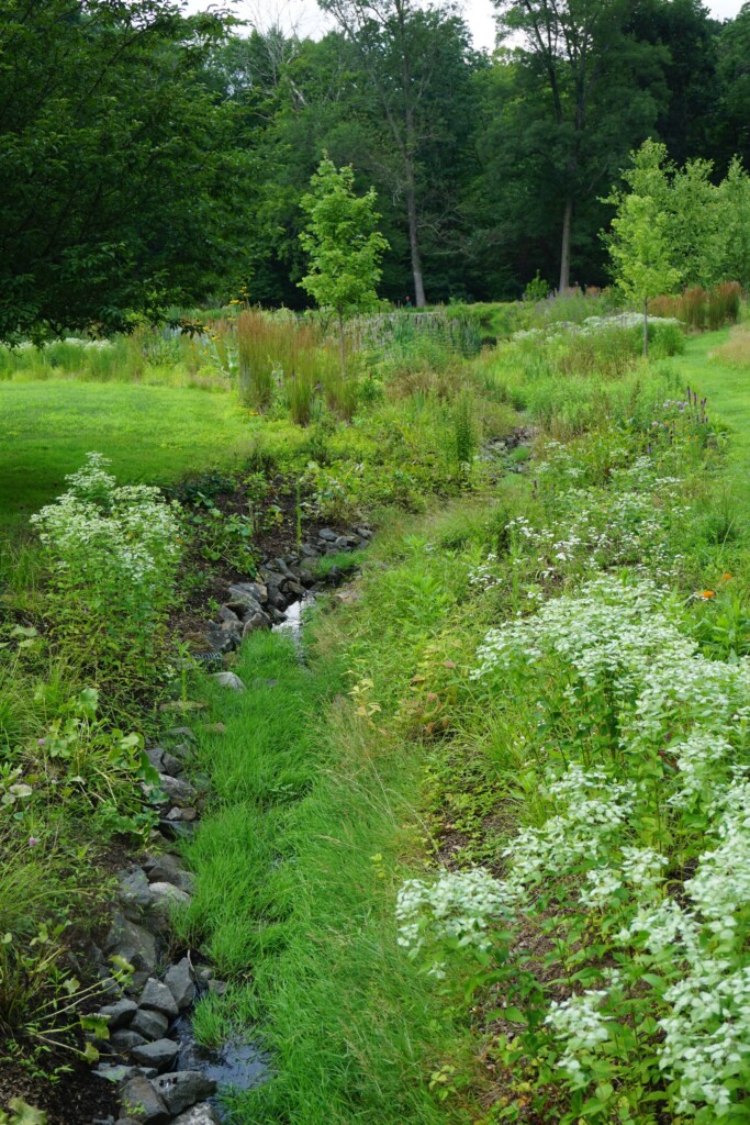 (PHOTO: A native gardening project by David Baker of Plan it Wild. An eco renovation along this waterway. Contributed.)