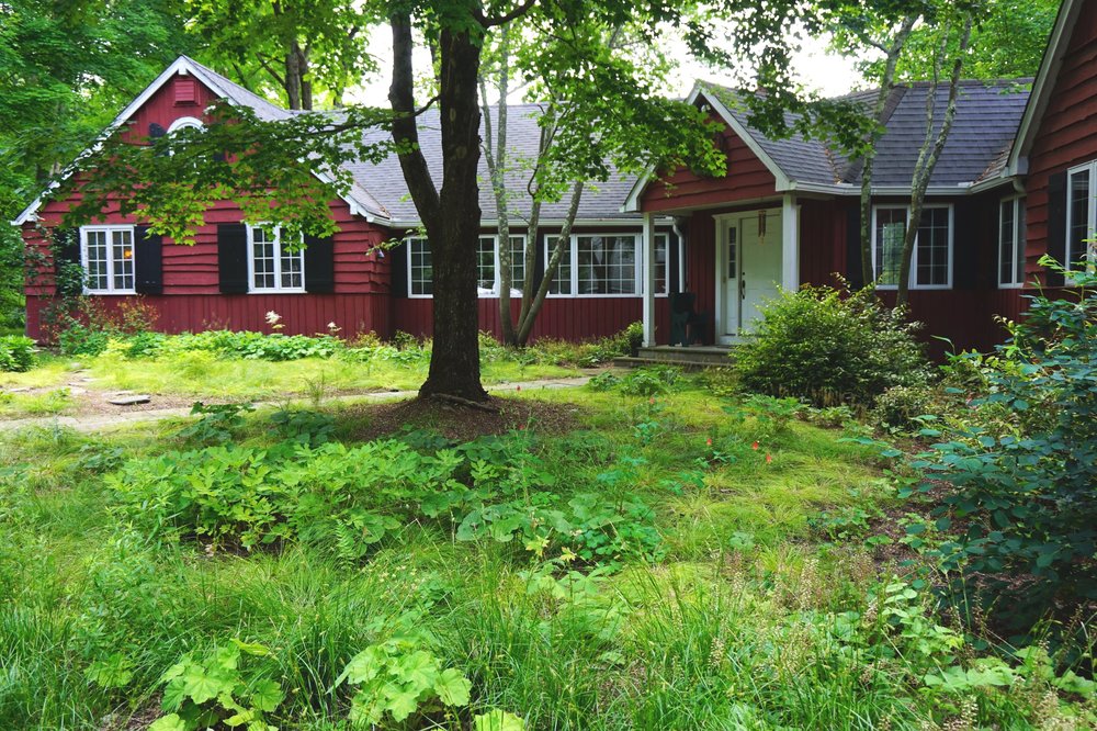 (PHOTO: A native gardening project by David Baker of Plan it Wild: native plantings in a Pound Ridge courtyard. Contributed.)