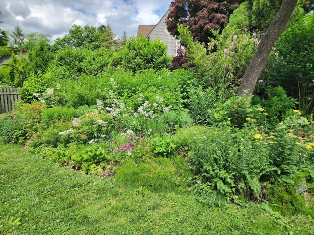 (PHOTO: A native gardening project by Dominique Biondi of Ecologic: Pelham home wildlife gardens project. Contributed.)