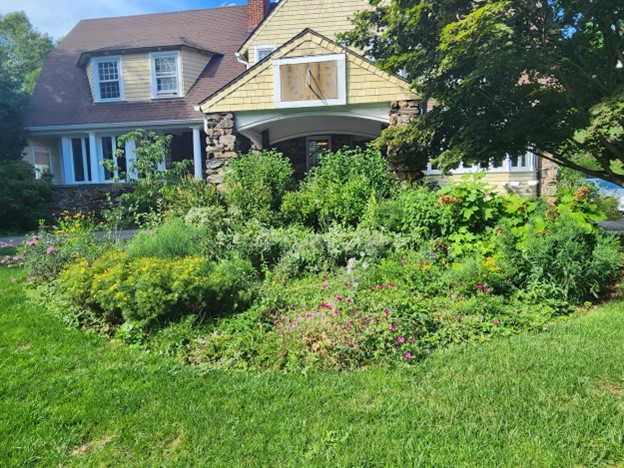 (PHOTO: A native gardening project by Dominique Biondi of Ecologic: Pelham sanctuary gardens project. Contributed.)