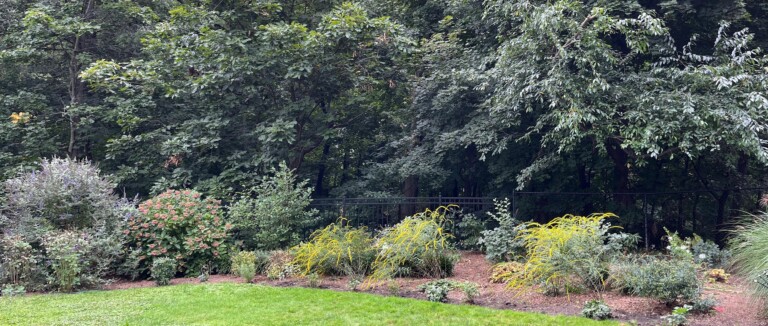 (PHOTO: A native garden project by Sue Drouin of Fairspring. Contributed.)