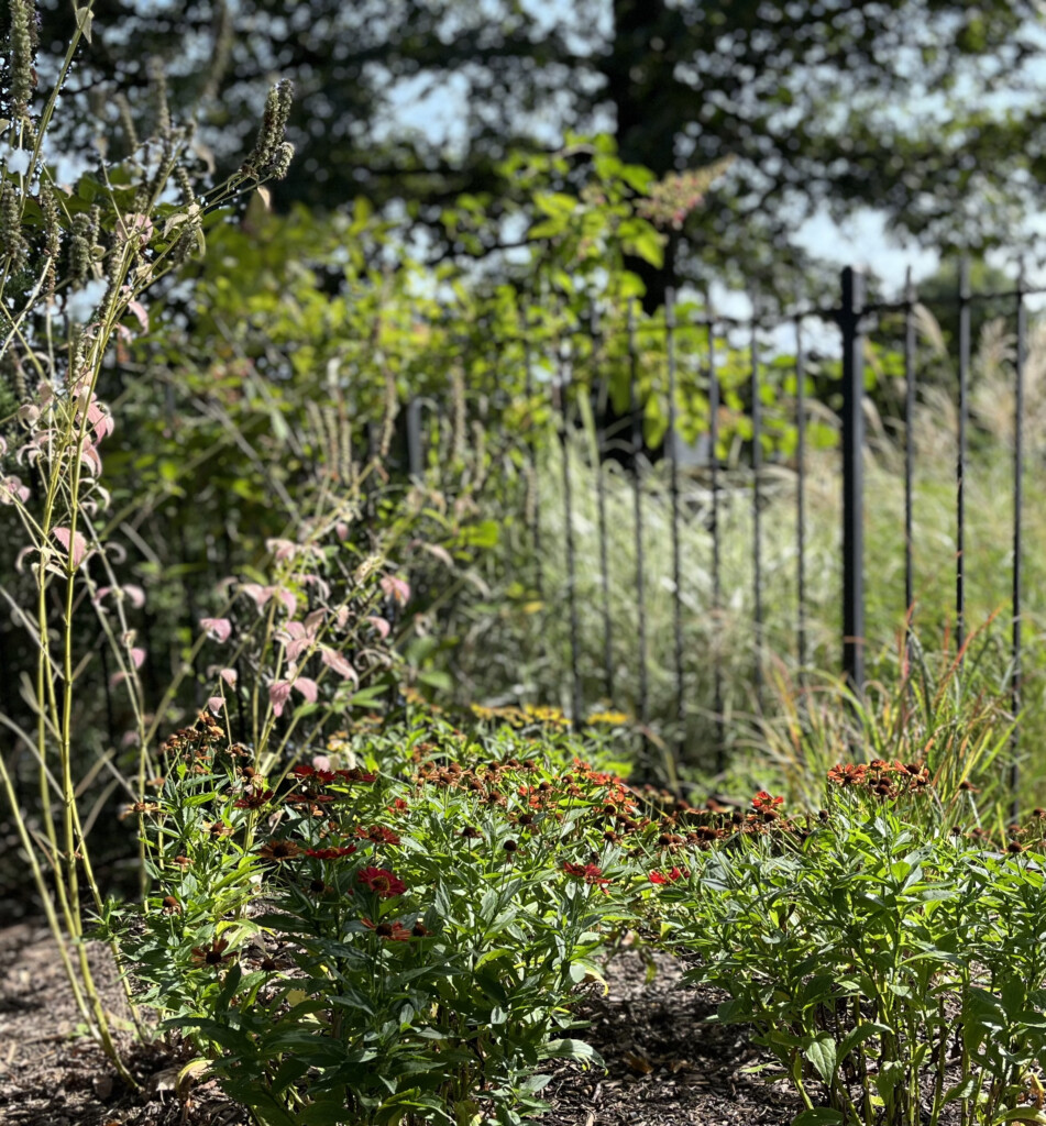 (PHOTO: A native garden project by Sue Drouin of Fairspring. Contributed.)