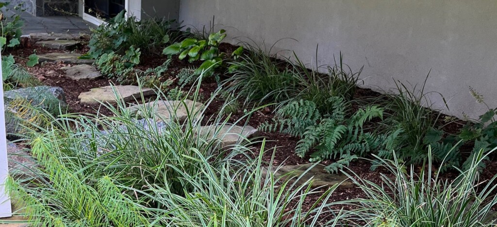 (PHOTO: A native garden project by Sue Drouin of Fairspring. Contributed.)