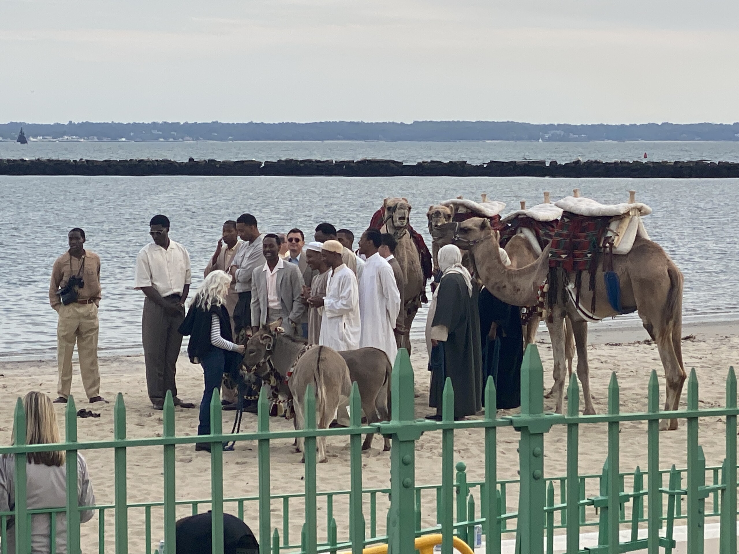 (PHOTO: Camels and donkeys were at Playland Beach for the Marty Supreme movie shoot on Friday, October 4, 2024.)