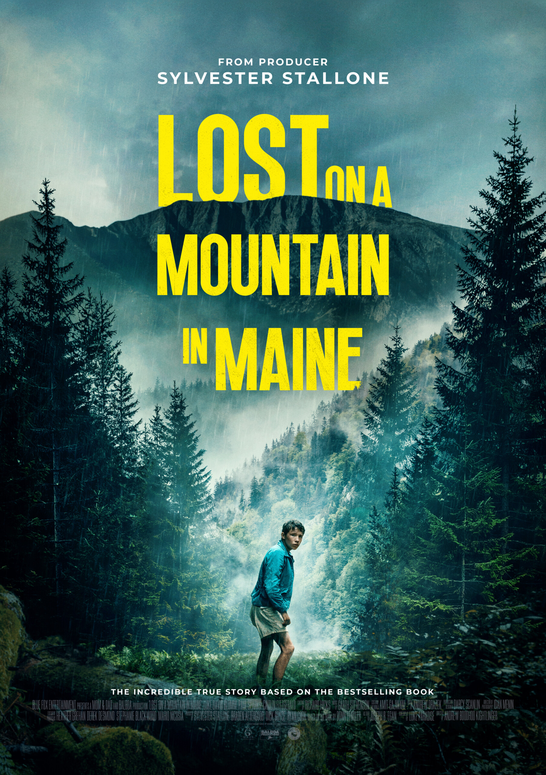 LOST ON A MOUNTAIN IN MAINE - Poster