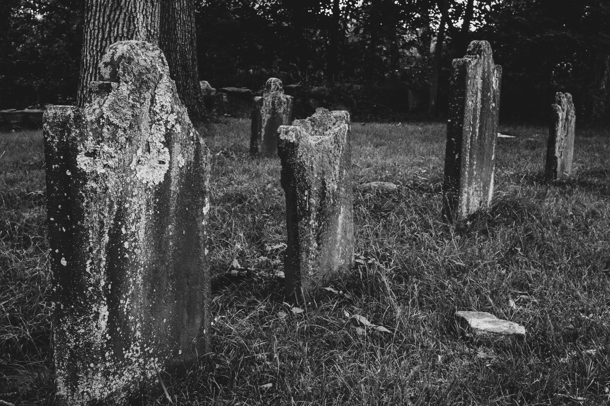 Art of Rye: Purdy Burying Ground