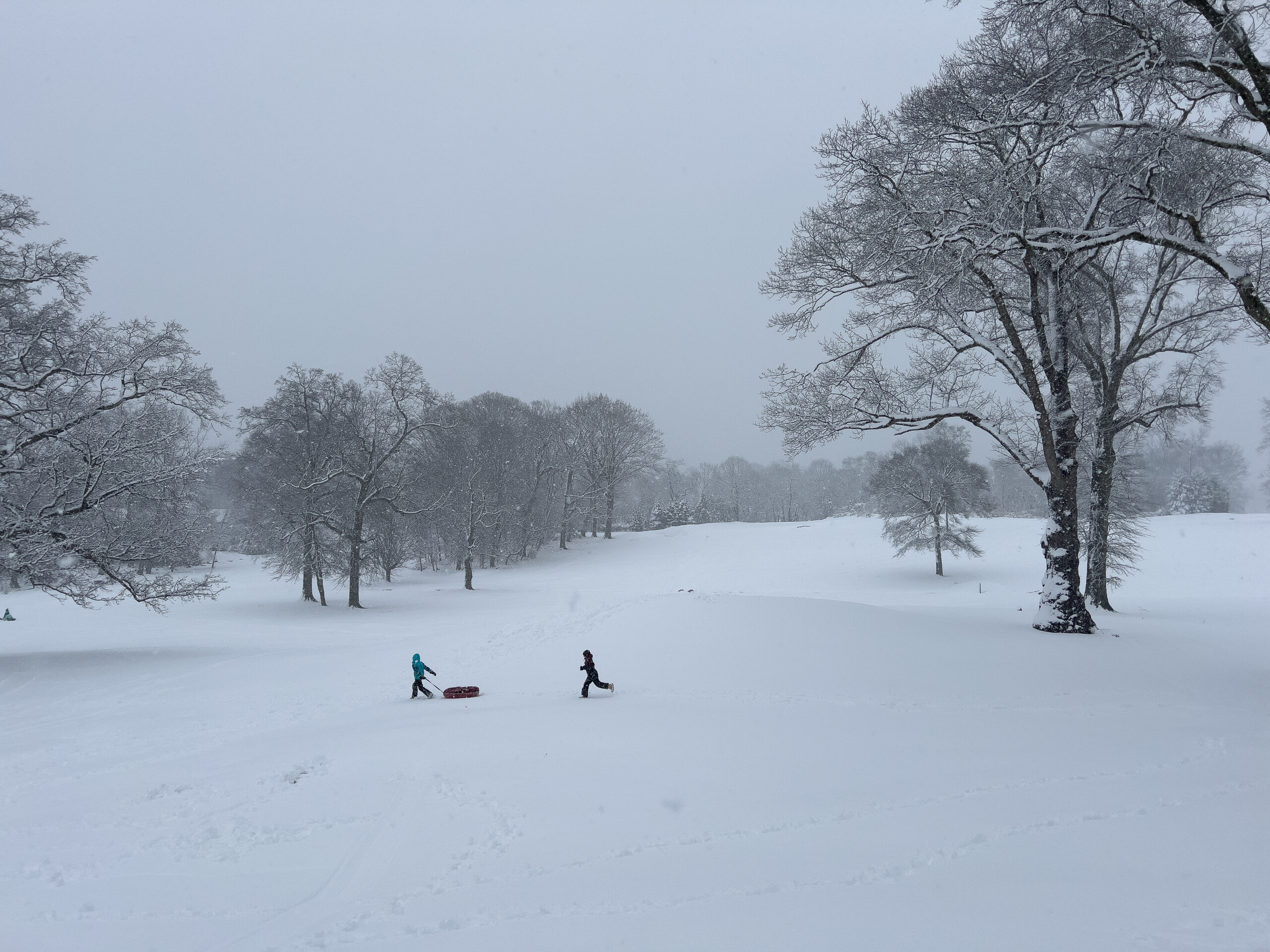 (PHOTO: Snow Day. Children run through the snowy landscape in search of fun. By Stacey Massey, author of Fall in Love with Rye.)