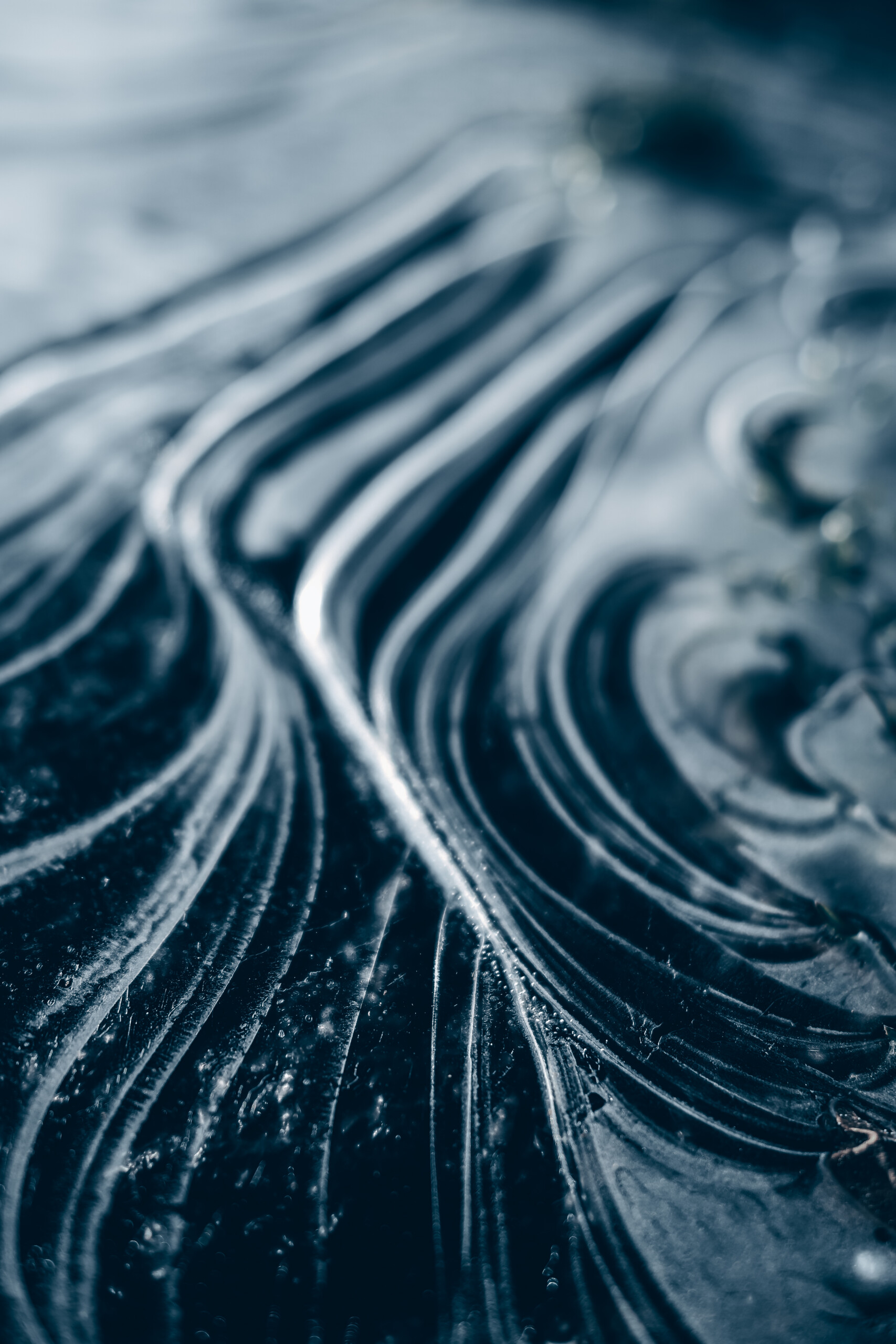 (PHOTO: Ice Formations in Winter. A distinctive blend of beauty and the harsh reality of the bitter cold. By Stacey Massey, author of Fall in Love with Rye.)