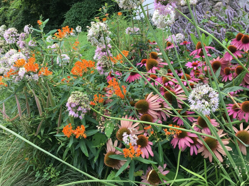 (PHOTO: A native gardening project by Missy Fabel of Ecological Landscape Design. Contributed.) 