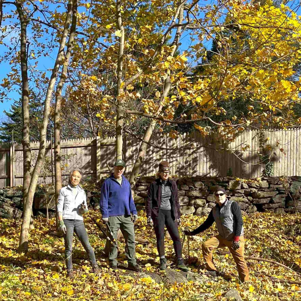 (PHOTO:  The Rye Sustainability Committee volunteers after removing invasive bamboo along the Playland Parkway in Rye. Bamboo is a notoriously difficult invasive to remove. Contributed.)