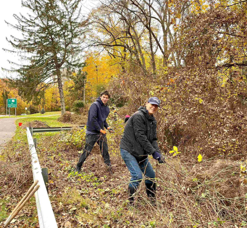 (PHOTO: The Rye Sustainability Committee volunteers Dr. Frank Goldszer and his son Luke removing invasive plants along the Playland Parkway in Rye. Contributed.)