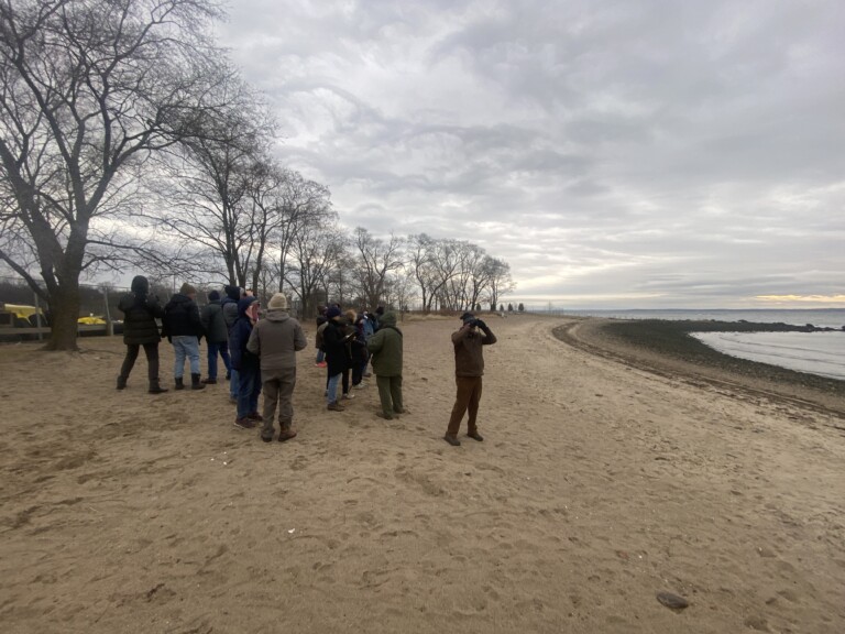 (PHOTO: Birding at Edith Read Wildlife Sanctuary with Saw Mill River Audubon on December 20, 2024.)