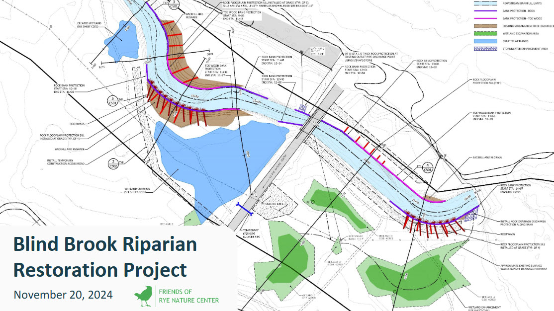 (PHOTO: Plans from the Blind Brook riparian restoration project at Rye Nature Center, November 2024.)