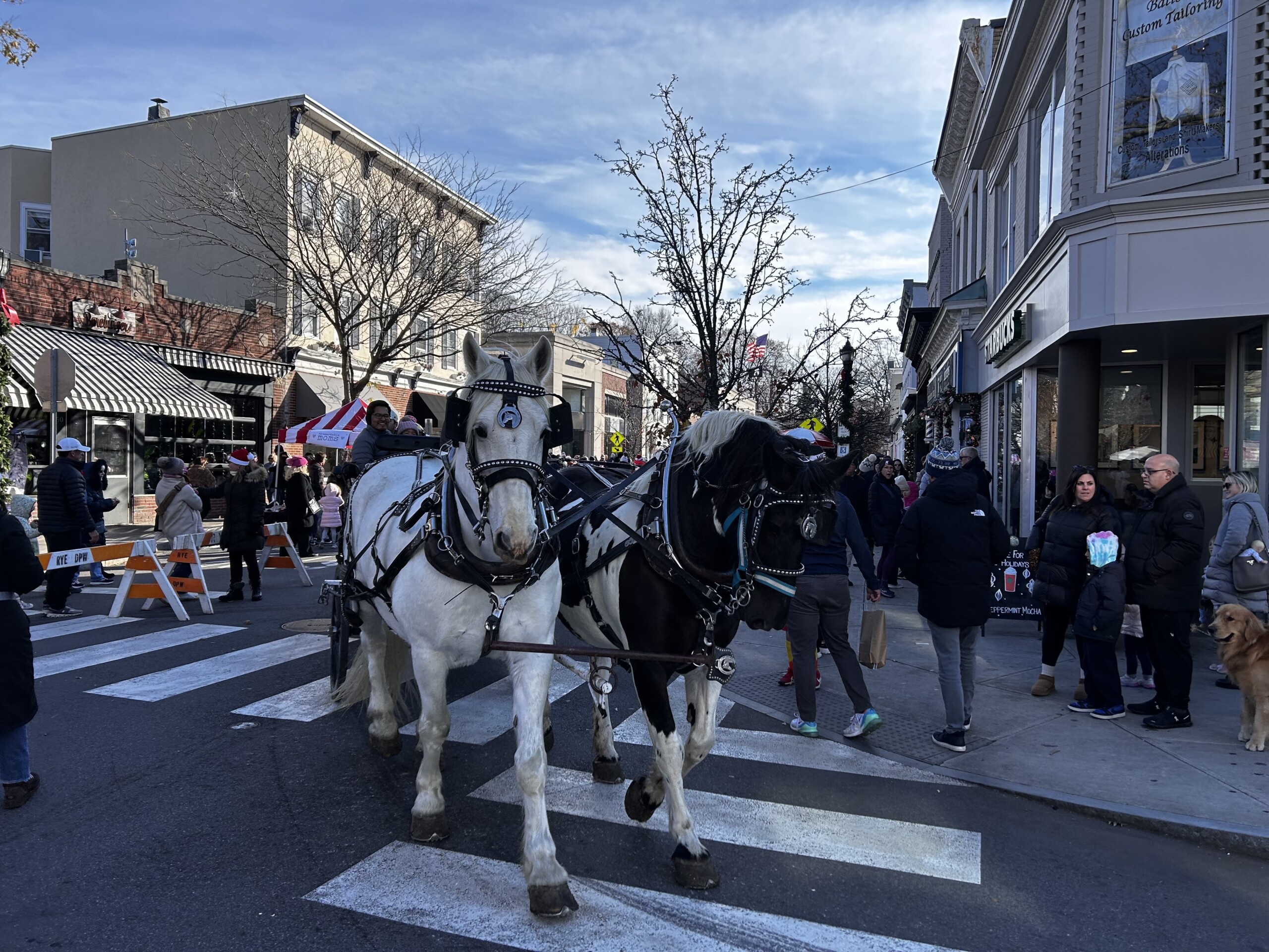 (PHOTO: Horse rides were available for anyone at Mistletoe Magic.)