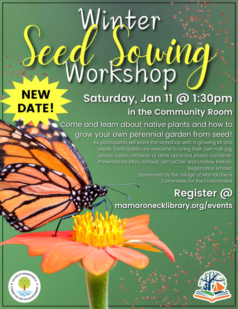 Mamaroneck Library - seed sowing Jan 2024