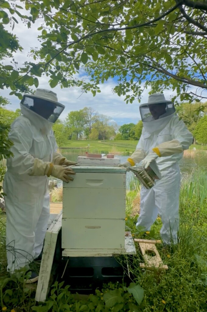 (PHOTO: The Friends of Rye Town beekeepers Board Member Chris Meier and Park Director Russ Gold. Contributed.)