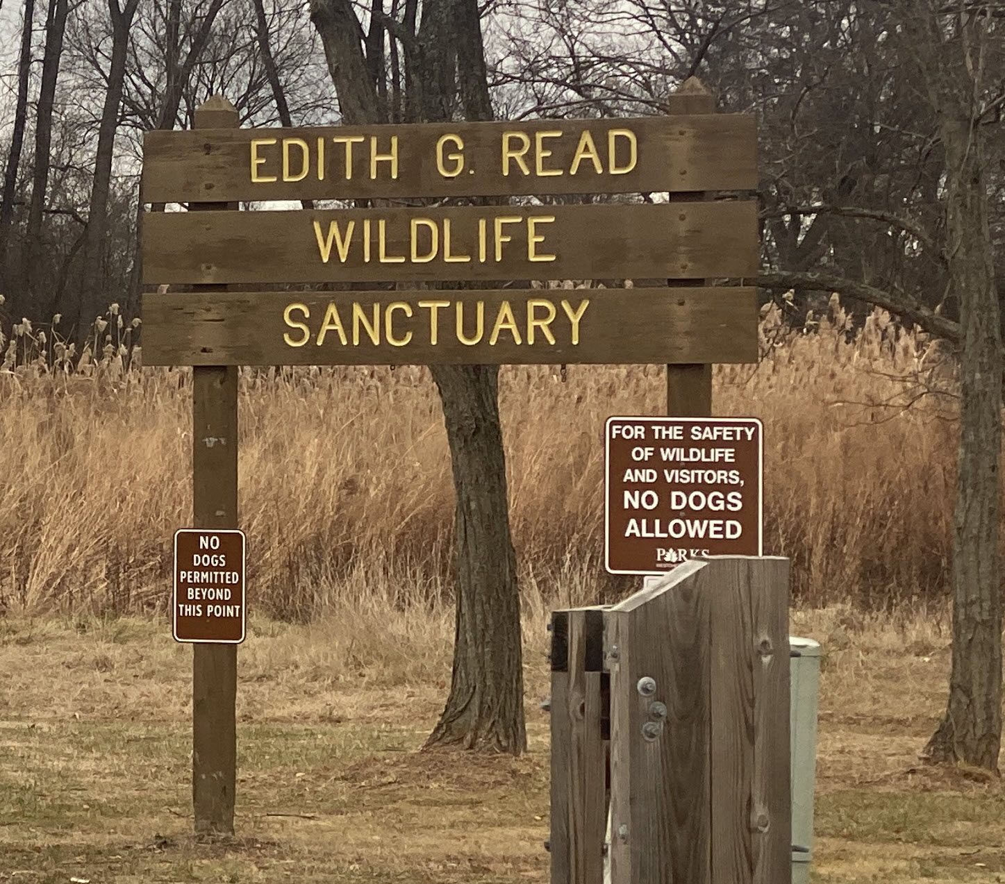 (PHOTO: A sign outside the main entrance to Edith Read Wildlife Sanctuary says very clearly - with two signs - that no dogs are permitted in the park. Just outside, on Playland property, dogs are expected to be on leash. File photo.)