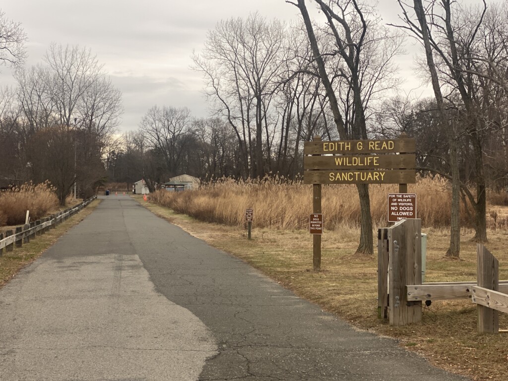 (PHOTO: A sign outside the main entrance to Edith Read Wildlife Sanctuary says very clearly - with two signs - that no dogs are permitted in the park. Just outside, on Playland property, dogs are expected to be on leash. File photo.)