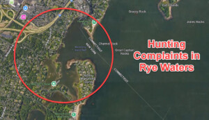 (PHOTO: On Friday, January 3, 2025 Rye PD said it has been receiving complaints about duck hunting in the area of Tide Mill and Port Chester Harbor.)