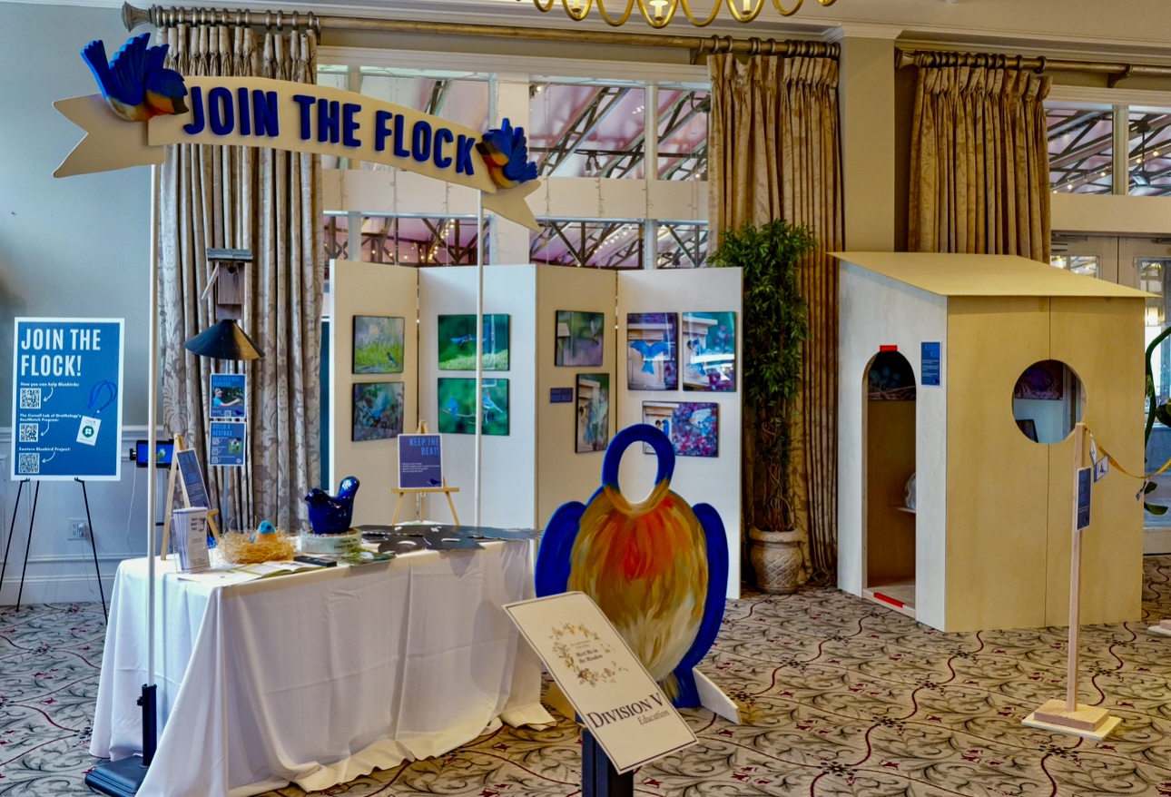 (PHOTO: The Little Garden Club of Rye's Bluebird educational Exhibit at the Meet Me in the Meadow Flower Show, September 2024. Contributed.)