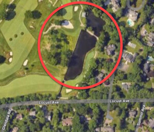 (PHOTO: The location of the icy pond off the 12th tee on the grounds of the Apawamis Golf Club.)