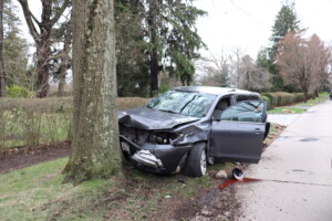 (PHOTO: On Stuyvesant Avenue at Barron Place Trusty struck a tree and after a brief foot pursuit was placed under arrest. Source: Rye PD.)